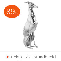 Valentijn - TAZI standbeeld